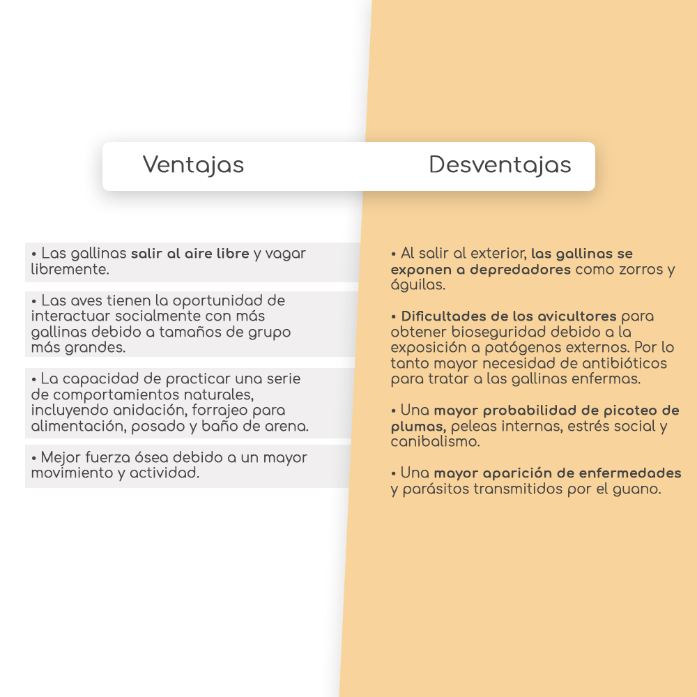 Camperas / A piso: Ventajas / Desventajas