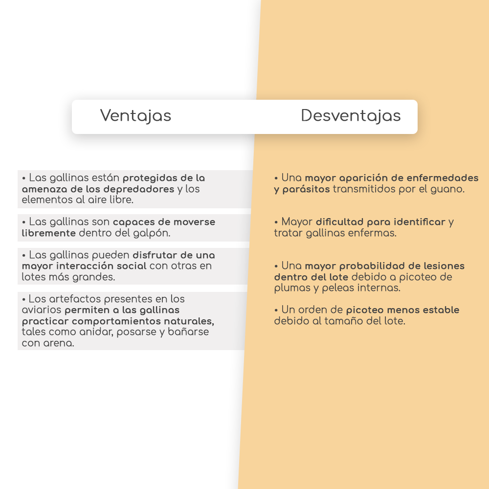 Aviario: Ventajas / Desventajas