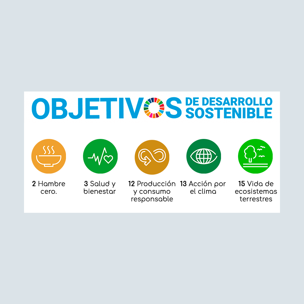 Objetivos de Desarrollo Sostenible