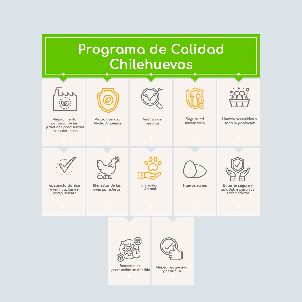 Programa de Calidad Chilehuevos